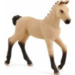 Schleich 13929 hříbě hannoverské – Sleviste.cz