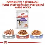 Royal Canin Sterilised Gravy 12 x 85 g – Zboží Mobilmania
