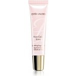 Estée Lauder Pure Color Envy cukrový peeling na rty 12 g – Hledejceny.cz