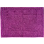 Stanex Koupelnová froté MEXICO FIALOVÁ 50 x 70 cm – Hledejceny.cz