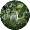 Tapety AG Design CR3313 Samolepicí fototapeta Džungle 140x140 cm Jungle / kruhové samolepicí vliesové dekorace La Form (ø 140 cm)