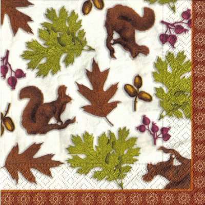 Ubrousky 33 x33 cm VEVERKY – Sleviste.cz