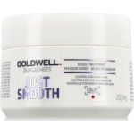 Goldwell Dualsenses Just Smooth 60sec Treatment 200 ml – Hledejceny.cz