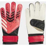 adidas Predator Training JH3805 – Hledejceny.cz