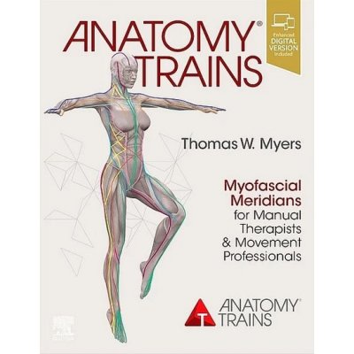 Anatomy Trains