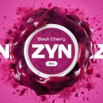 ZYN BLACK CHERRY 3 mg 20 sáčků – Zboží Dáma