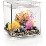 Biorb Cube akvárium MCR transparent 30 l – Zboží Mobilmania