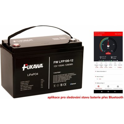 FUKAWA LFP100-12 12,8V 100Ah – Zboží Mobilmania