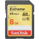 SanDisk SDHC class 10 8 GB SDSDX-008G-X46