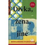 Dívka, žena, jiné - Bernardine Evaristo – Hledejceny.cz