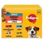 Pedigree Adult Multipack kuře a jehně & drůbež a hovězí v želé 12 x 100 g – Hledejceny.cz