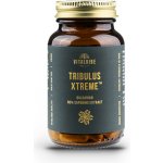 VitalVibe Tribulus Xtreme Bulgarian 90 kapslí – Zboží Mobilmania