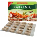 Terezia Company Rakytník řešetlákový 60 kapslí – Hledejceny.cz
