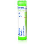 CALCAREA FLUORICA POR 5CH GRA 1X4G – Hledejceny.cz