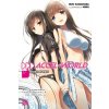 Komiks a manga Accel World, Vol. 17 (light novel)