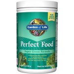 Garden of life Perfect Food Super Green Formula Powder 300 g – Hledejceny.cz