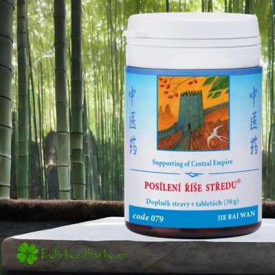 Posílení říše středu žaludeční a dvanácterníkové vředy 100 tablet – Hledejceny.cz