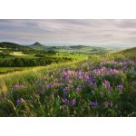 Pohlednice Rozkvetlé středohoří – Zboží Dáma