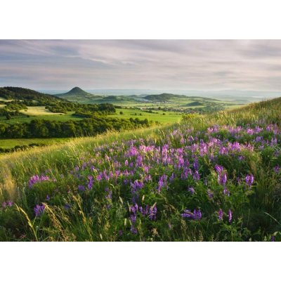 Pohlednice Rozkvetlé středohoří – Zboží Dáma