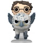 Funko Pop! 123 Harry Potter and Buckbeak – Zboží Mobilmania