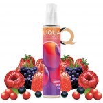 Ritchy Liqua Mix&Go Berry Mix 12 ml – Zboží Dáma