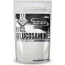 Natural Nutrition Glucosamine Glukosamin HCl 400 g