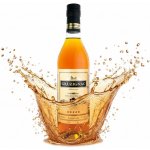 Gruzignac 5y 40% 0,5 l (holá láhev) – Zboží Dáma