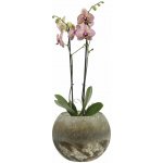 Ter Steege Váza Benthe pearl glow D20 H15 – Hledejceny.cz