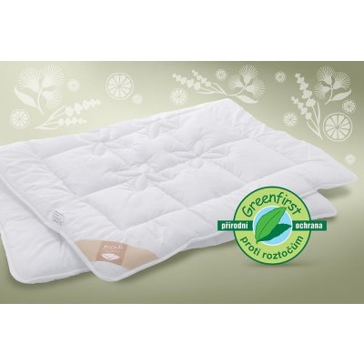 Ložnice21. Dětská přikrývka Greenfirst s protiroztočovou ochrannou celoroční 300 g/m² 100x135 – Hledejceny.cz