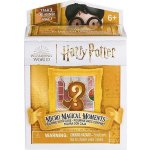 Spin Master Harry Potter Harry Potter mini v rámečku – Hledejceny.cz