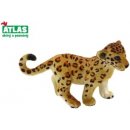 Atlas A Leopard mládě