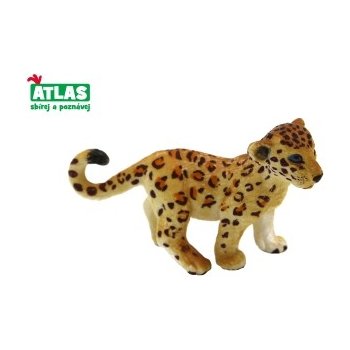 Atlas A Leopard mládě