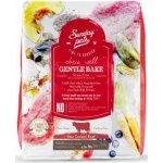 Sunday Pets Gentle Bake Adult Small & Medium Breed Beef 1,3 kg – Hledejceny.cz