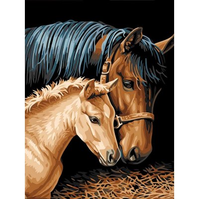 Malovaní na plátno Koně