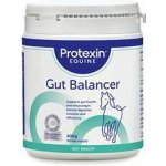 Protexin Equine Premium Gut Balancer 0,4 kg – Zboží Dáma