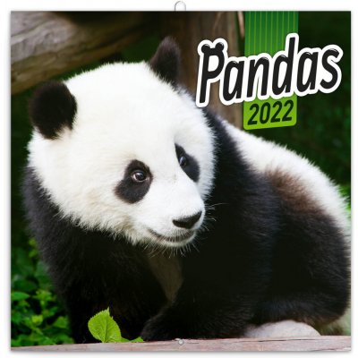 poznámkový Pandy 30 × 30 cm 2022 – Zboží Mobilmania