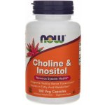 Now Foods Cholin & Inositol 500 mg x 100 kapslí – Hledejceny.cz