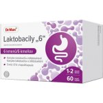 Dr.Max Laktobacily 6 60 kapslí – Hledejceny.cz