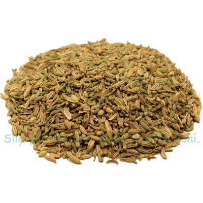 Koňské bylinky Fenykl obecný plod Foeniculum vulgare 1 kg – Hledejceny.cz