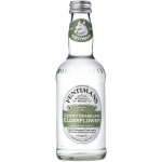Fentimans Wild English Elderflower 275 ml – Zbozi.Blesk.cz