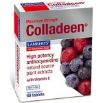 Lamberts Maximum Strenght Coladeen 60 tablet – Hledejceny.cz