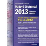 Mzdové účetnictví 2013 - Vybíhal Václav, kolektiv – Hledejceny.cz