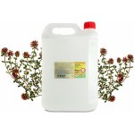 Ecoliquid Antiviral dezinfekce na ruce tymián 5 l – Zboží Dáma