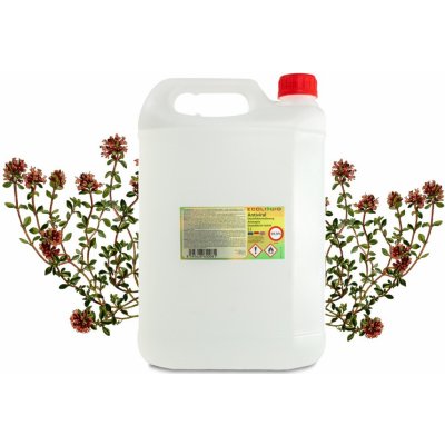 Ecoliquid Antiviral dezinfekce na ruce tymián 5 l – Zboží Dáma