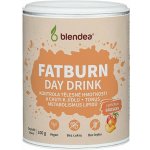 Blendea Fatburn Day Drink 100 g – Sleviste.cz