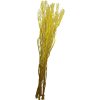 Květina větve 5ks-sv. 150cm, žluté 381583-02
