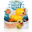 EP Line Robo alive junior kačenka