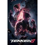 Tekken 8 – Hledejceny.cz