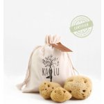 Kalu Mořská menstruační houba testovací sada hub různých velikostí 3 ks – Zbozi.Blesk.cz