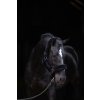 Ohlávky a vodítka pro koně Covalliero Ohlávka nylonová s beránkem SuperSoft černá